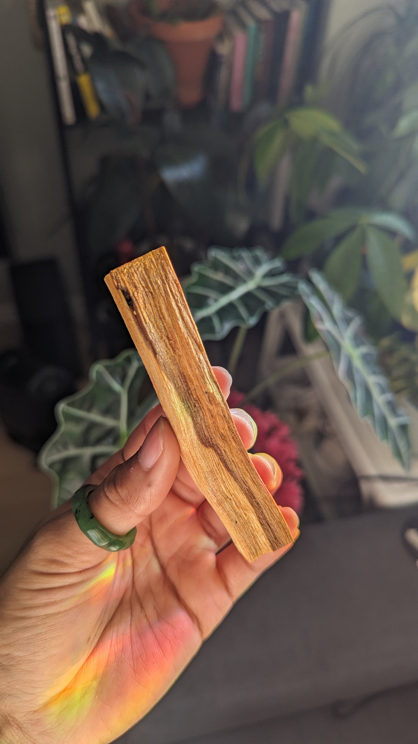 Palo Santo