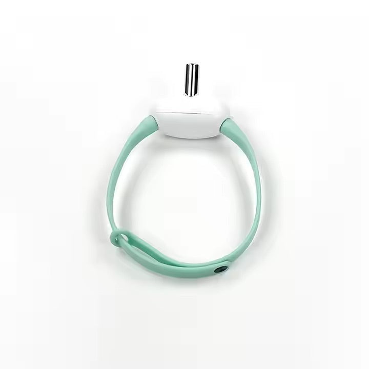 Cat Laser Collar Toy