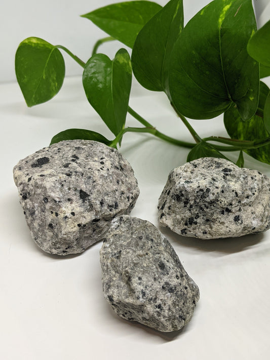 Dalmation Jasper Chunks