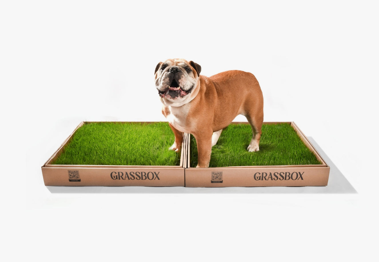 Real GrassBox